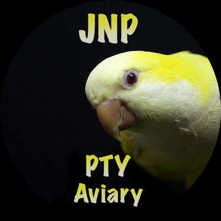 jnp