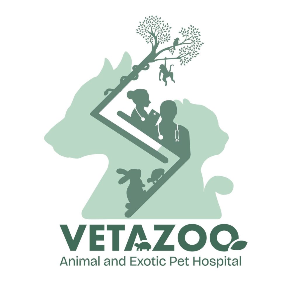 vetazoo
